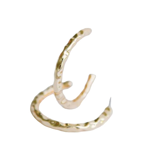 Charley Earrings