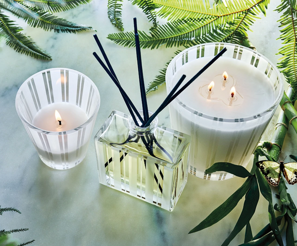 Bamboo 3 Wick Candle