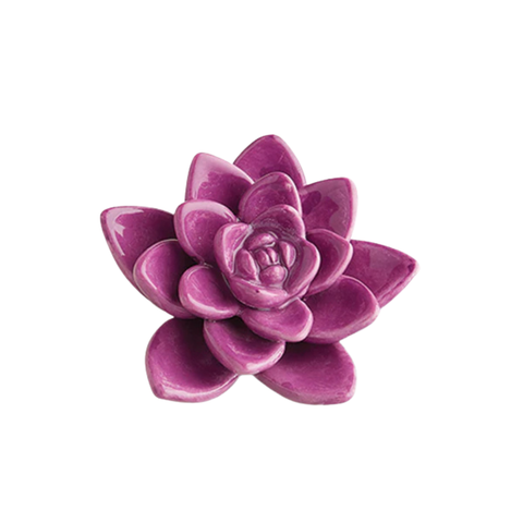 Nora Fleming Get Growing Mini