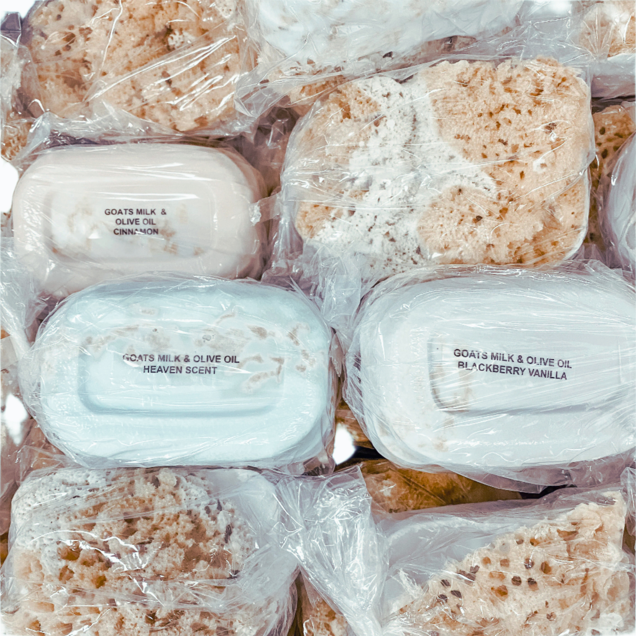 Sponge Soap