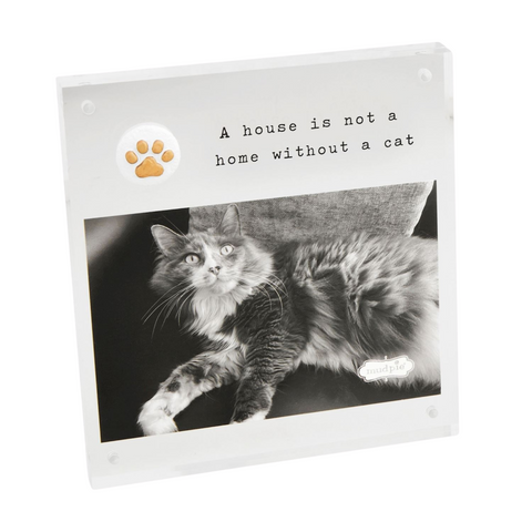 Acrylic Cat Paw Frame