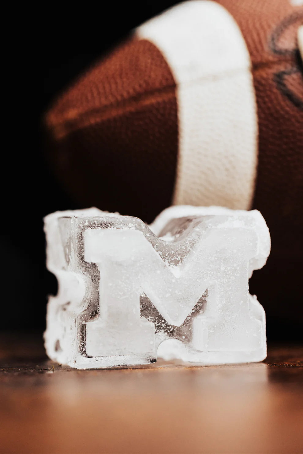 Michigan Ice Mold