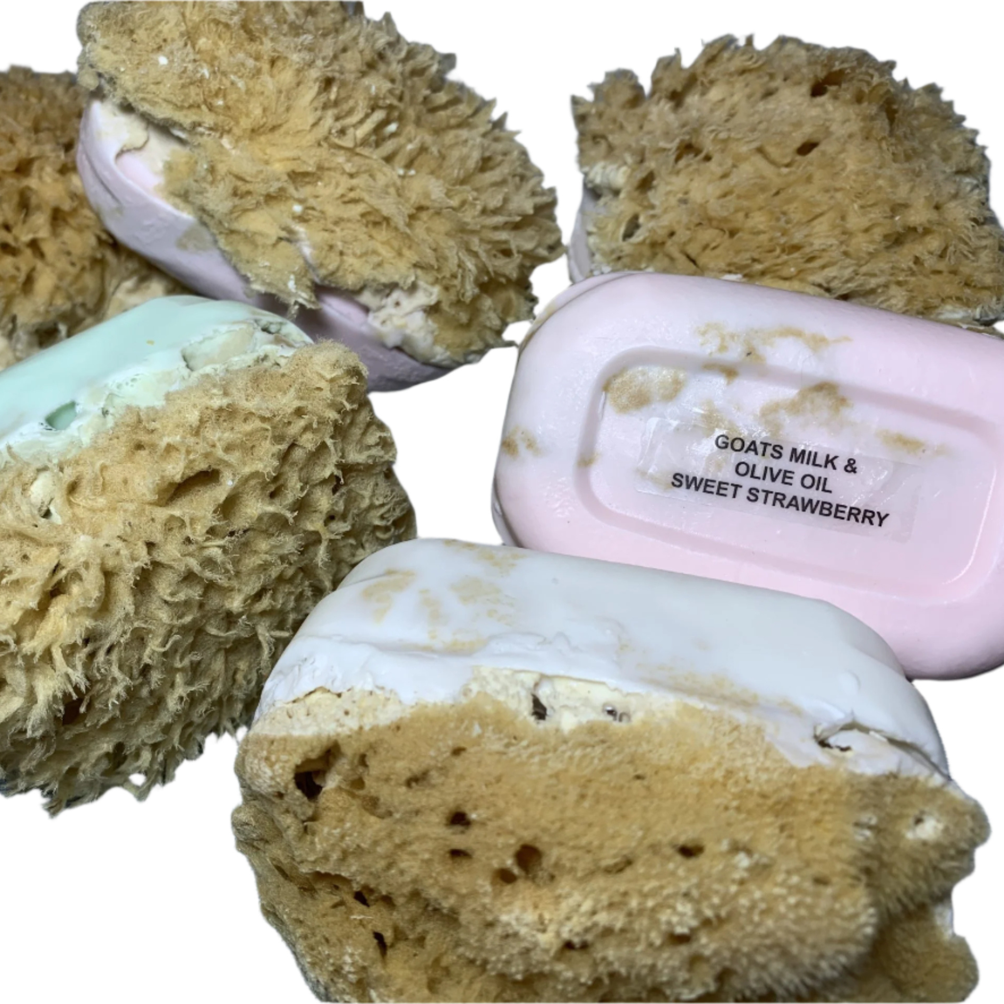Sponge Soap