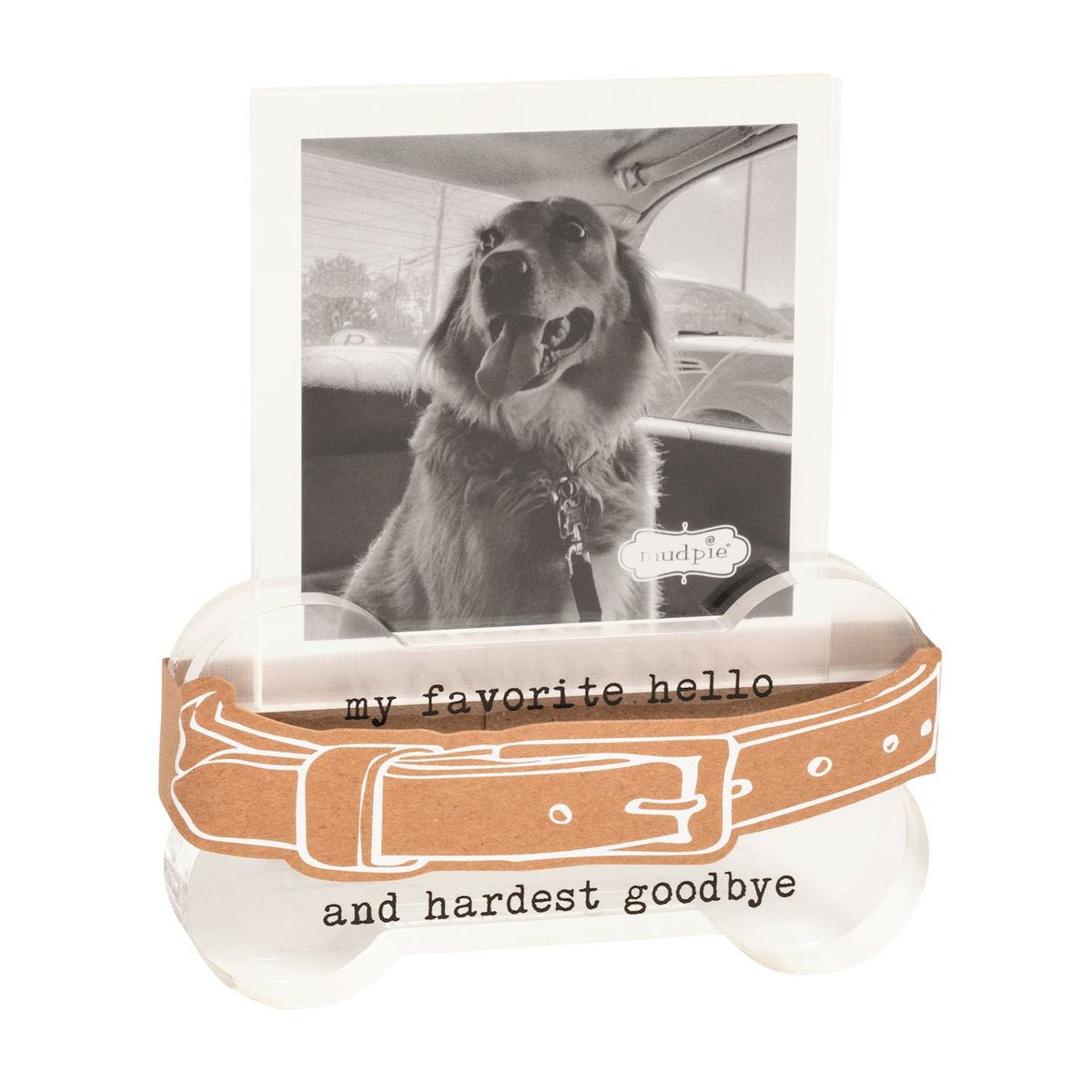 Collar Memorial Frame