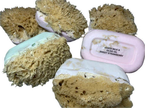 Sponge Soap