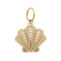 Seashell Charm