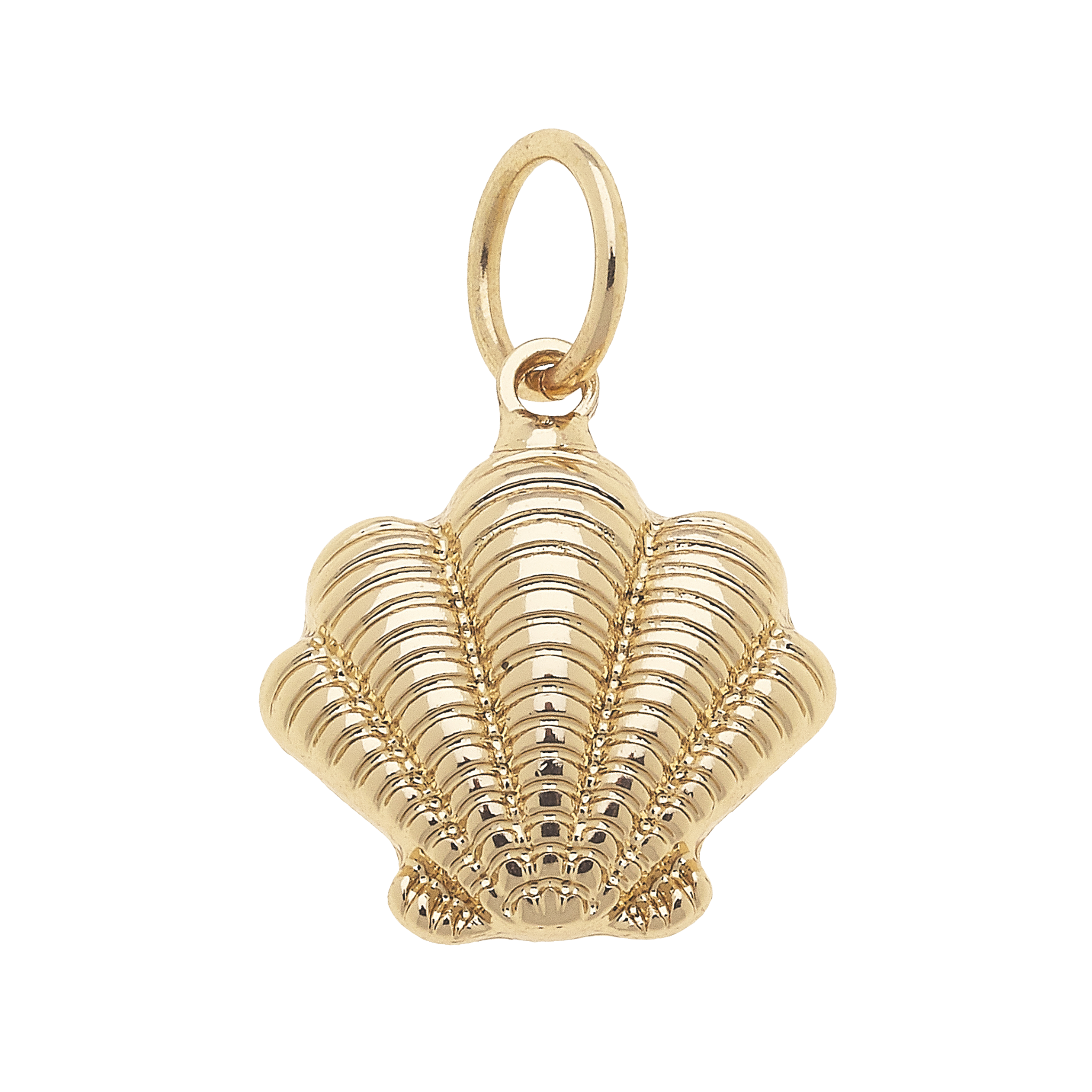 Seashell Charm