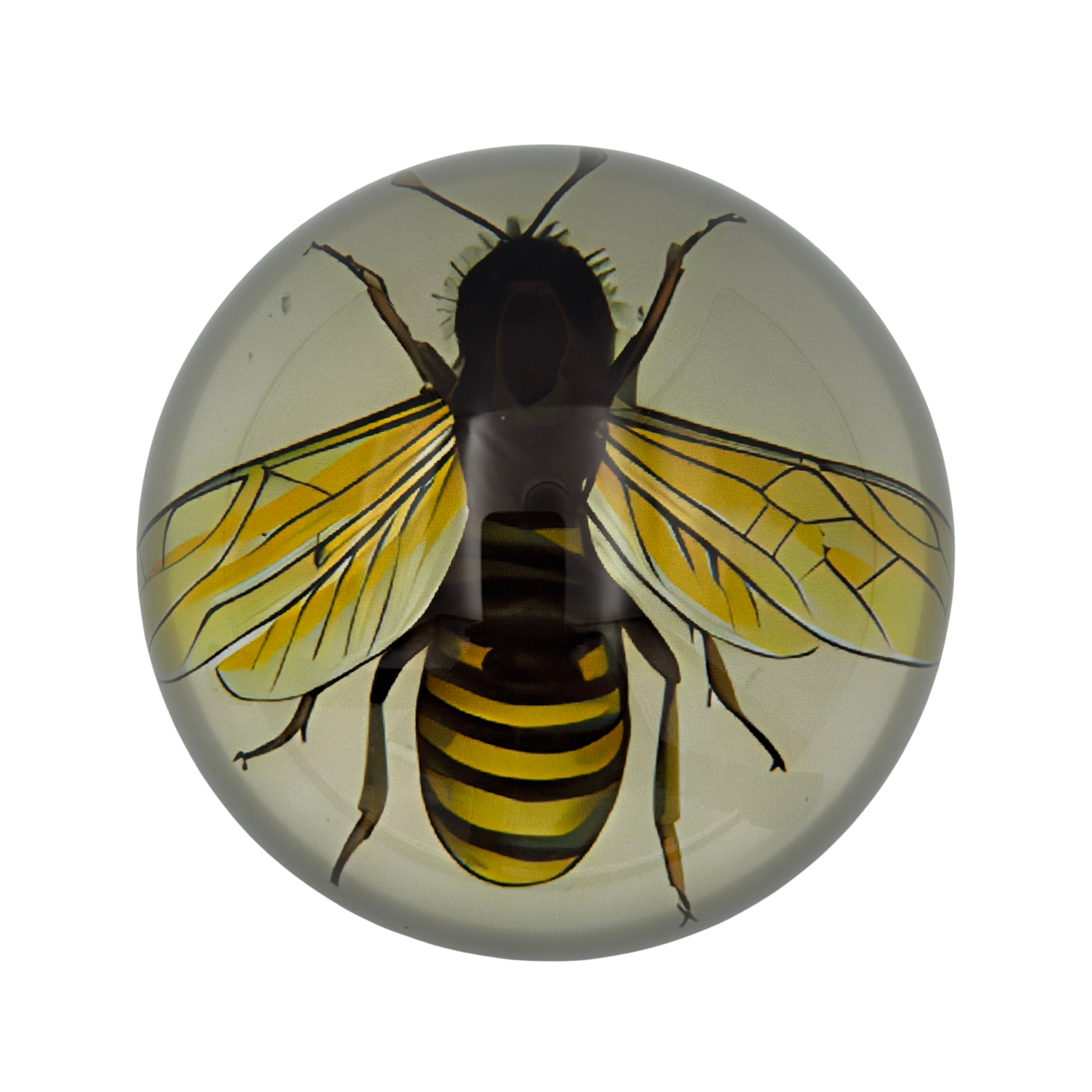 Bee Paperweight
