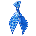 Blue Gingham Skinny Scarf