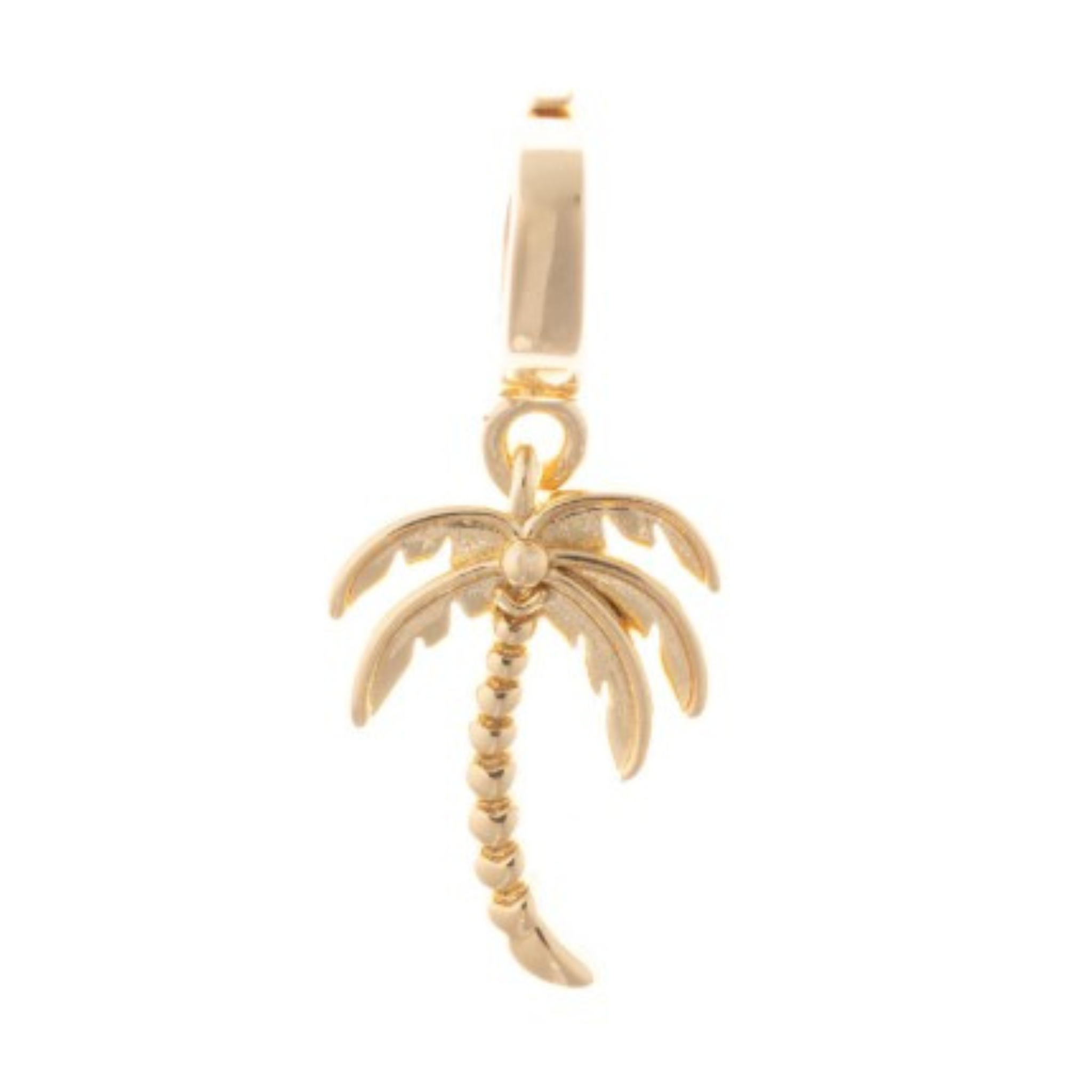 Palm Tree Luxe Charm
