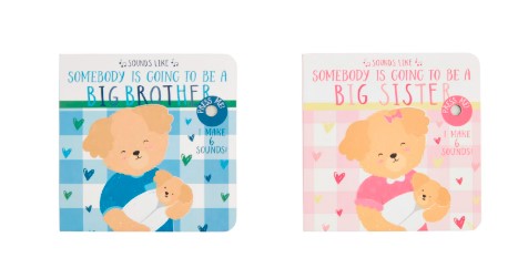 Sounds Like Big Brother & Big Sister Books