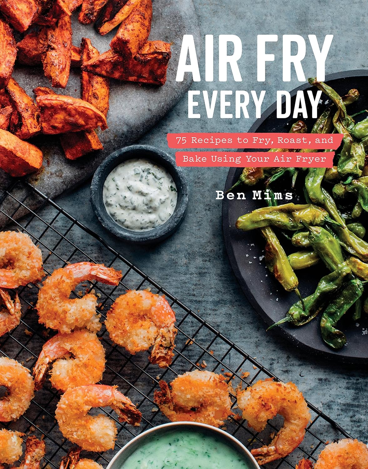 Air Fry Every Day Book
