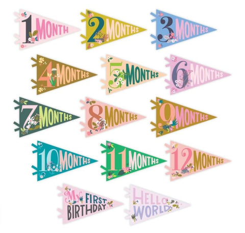 Little Artist Milestone Pennants