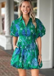 Bliss Printed Dress