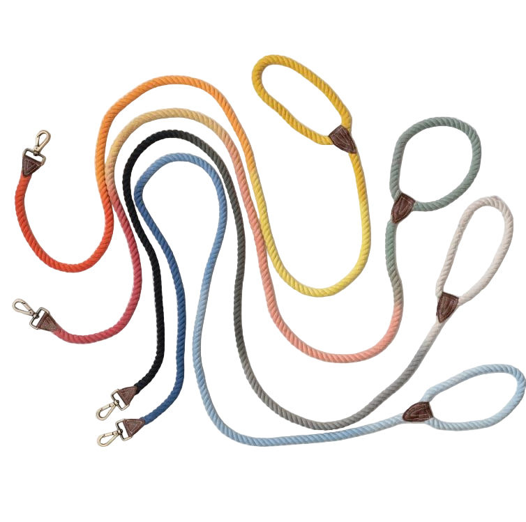 Cotton Rope & Leather Dog Leash