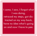 I Came I Saw Coaster