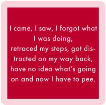 I Came I Saw Coaster