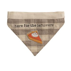 Leftovers Reversible Pet Bandana