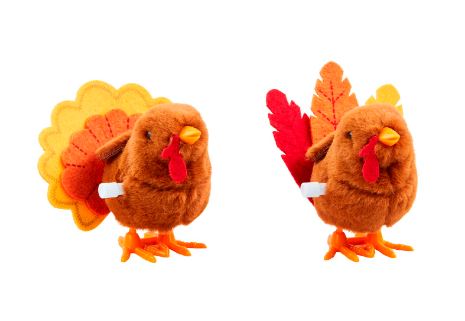 Turkey Wind-Up Toy