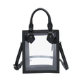 Elise Clear Rectangle Crossbody
