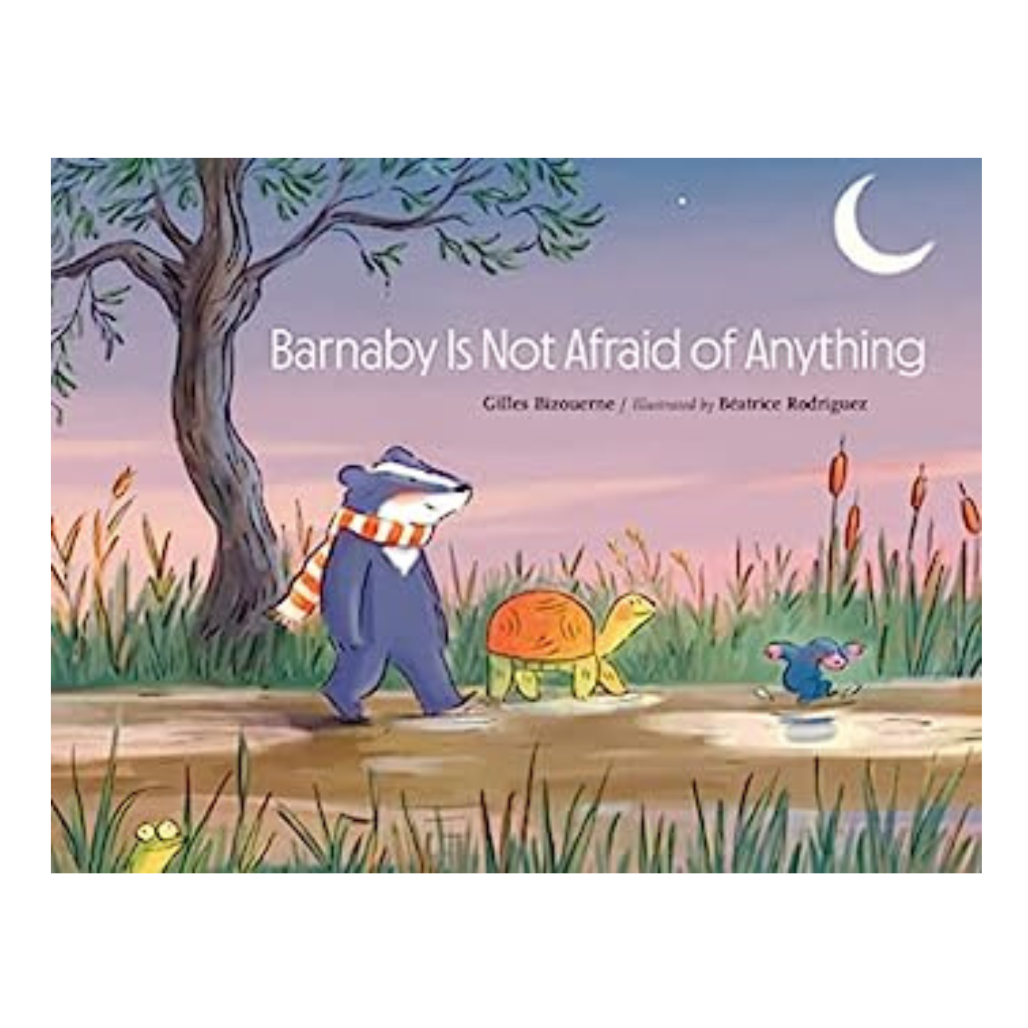 Barnaby Is Not Afraid of Anything Book