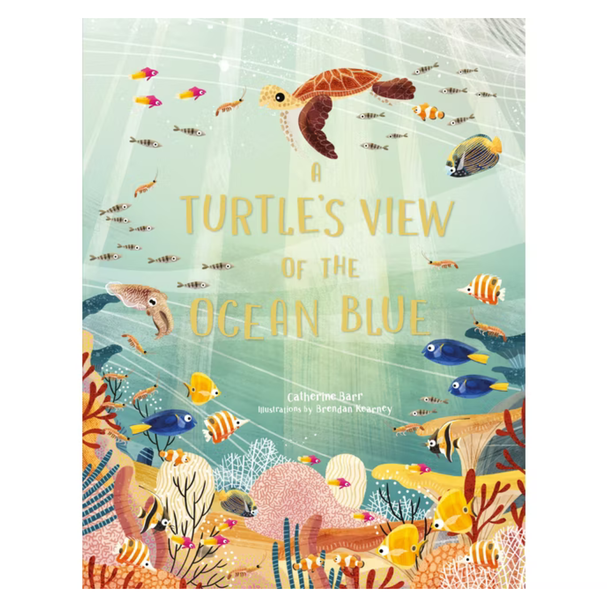 A Turtles View of the Ocean Blue
