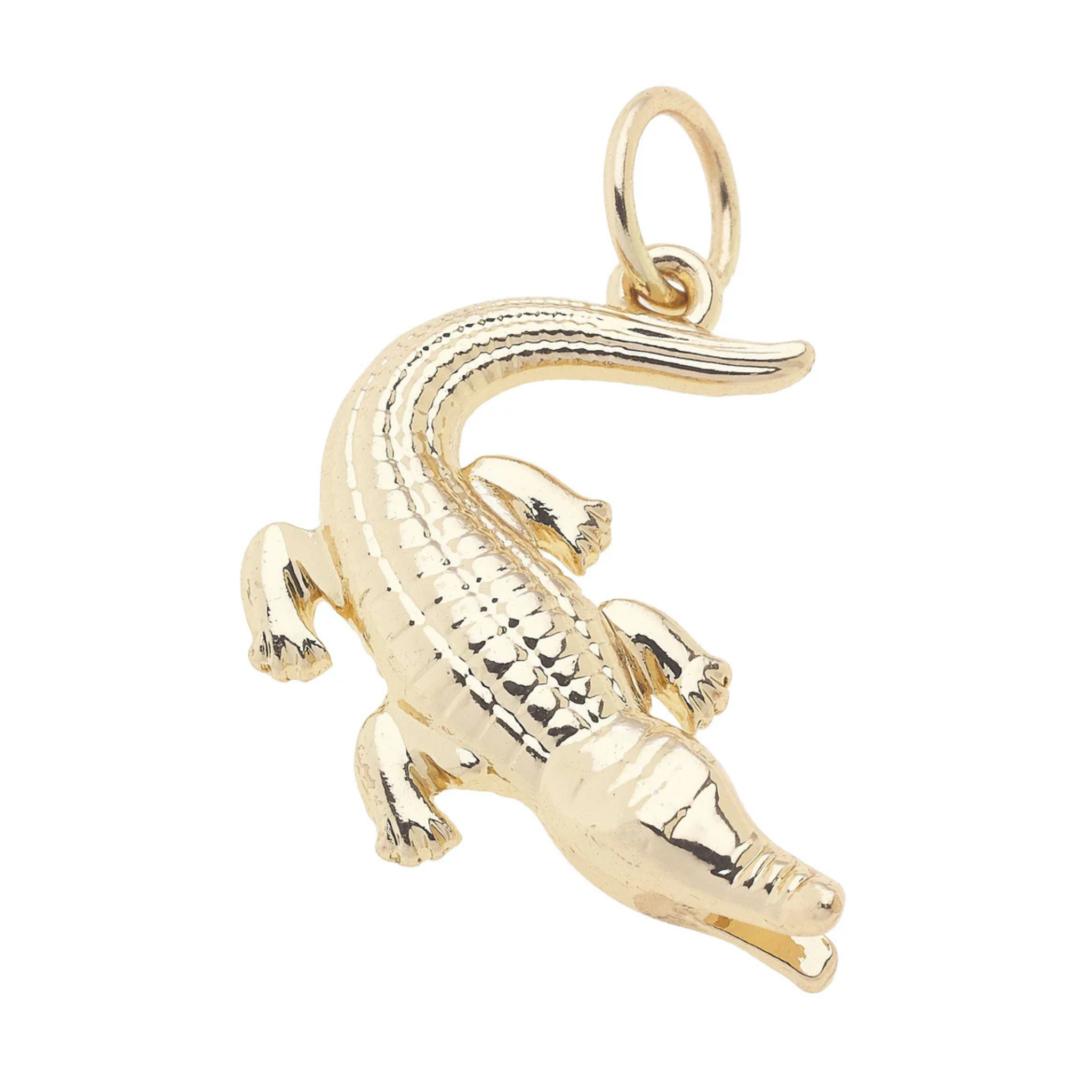 Curved Alligator Charm Gold