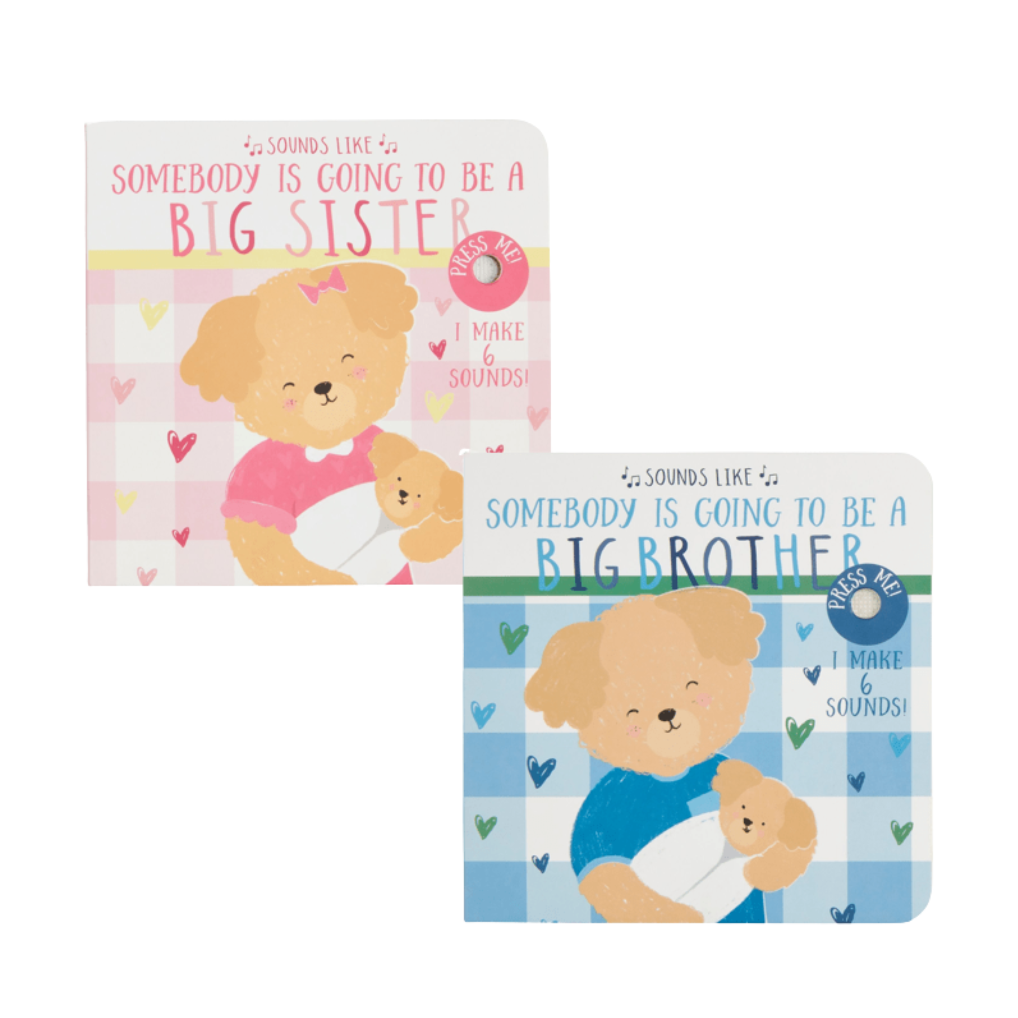 Sounds Like Big Brother & Big Sister Books