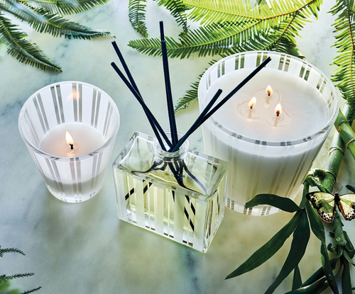 Bamboo 3 Wick Candle