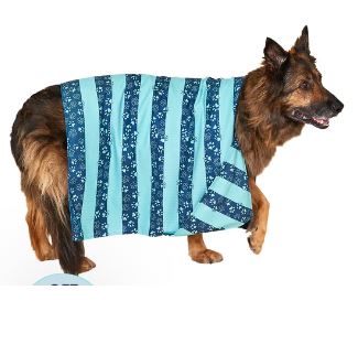 Dock Bay Dog Towel