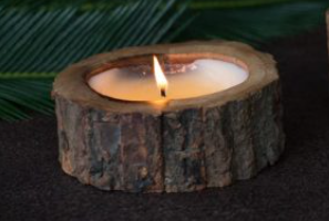 Tobacco Bark Tree Pot