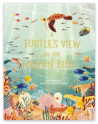 A Turtles View of the Ocean Blue